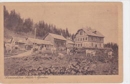 Austria - Sonnwendstein - Schuler's Alpenhaus - Johann Hartberger Restauration - Semmering