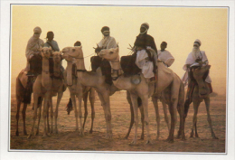 Teguidda N'Tessoumi ;  " La Cure Saléé " - Niger