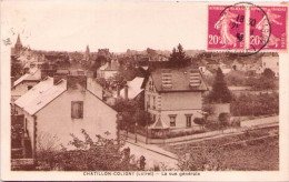 CHATILLON-COLIGNY - La Vue Générale - Chatillon Coligny