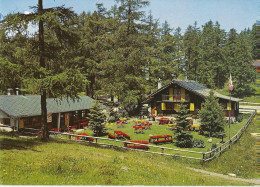 Delcampe - Restaurant Du Col Des Planches Sur Martigny              1980 - Martigny