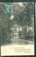 N°12     Sous Bois De L'Ermitage - Eak103 - Saint-Maximin-la-Sainte-Baume