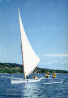 Pirogue A Voile - Tahiti