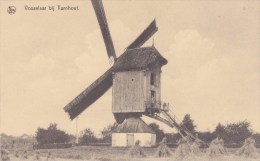 Vosselaar Bij Turnhout, Molen - Moulin - Vosselaar