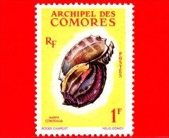 Isole COMORE - Nuovo - 1962 - Conchiglie - Shell - Coquillage - Harpa Congidatis - 1 - Nuovi