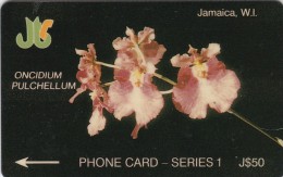 Jamaica, JAM-1D, Papilio Homerus, Orchid, 2 Scans.   1JAMD  W - Jamaïque
