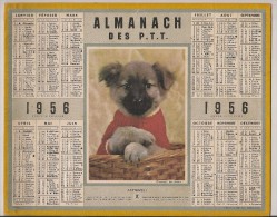 Almanach Des PTT . Calendrier Poste 1956. Chien - Grand Format : 1941-60