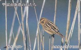 RARE Carte Japon - OISEAU Passereau - BRUANT DES ROSEAUX - BIRD Japan Prepaid Card - Vogel Karte - Fumi 3413 - Passereaux