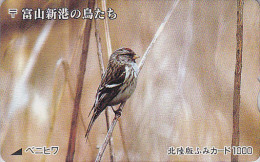 RARE Carte Prépayée Japon - OISEAU Passereau - SIZERIN FLAMME - BIRD Japan Prepaid Card - Vogel Karte - Fumi 3418 - Zangvogels