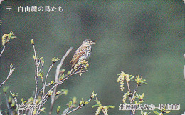 RARE Carte Prépayée Japon - OISEAU Passereau - PIPIT A DOS OLIVE - BIRD Japan Prepaid Card - Vogel Karte - Fumi 3419 - Zangvogels