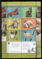 (cl 26 - P8) - Argentine ** N° 2532 à 2537 En Feuille  (ref. Michel Au Dos)- Chats - Unused Stamps