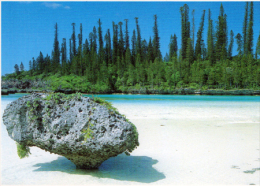 Baie De Ugo  ; " La Piscine " - New Caledonia