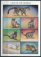 (cl 26 - P20) Gambie ** N° 2418 à 2423 En Feuille (ref. Michel Au Dos)- Chats - Gambie (1965-...)