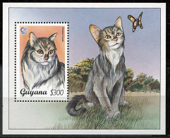 (cl 26 - P48) Guyane ** Bloc N° 250  (ref. Michel Au Dos)- Chats - Guyane (1966-...)