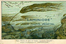 SAINT MANDE (94) Carte Publicitaire Laminiode Algues Marines établissements Océana - Saint Mande