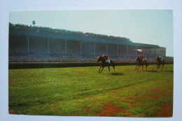 (5/5/33) AK "Long Island" Belmont Park, Pferderennen - Long Island