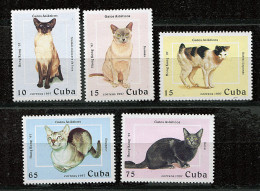 (cl 26 - P57) Cuba ** N° 3600 à 3604  (ref. Michel Au Dos)- Chats - Unused Stamps