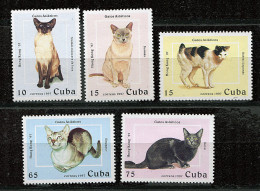 (cl 26 - P57) Cuba ** N° 3600 à 3604  (ref. Michel Au Dos)- Chats - Ongebruikt