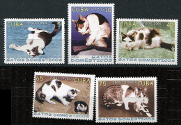 (cl 26 - P57) Cuba ** N° 4246 à 4250 - (ref. Michel Au Dos) Chats - Unused Stamps