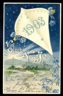 Viel Gluck Im Neuen Jahr! 1903.  ---- Old Postcard Traveled - Nouvel An