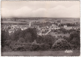 CPSM - GF - Coulanges Sur Yonne (Yonne) Vue Panoramique - Coulanges Sur Yonne