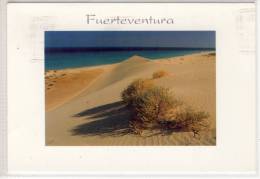 FUERTEVENTURA -  Art Edition By Luis J Soltmann - Fuerteventura