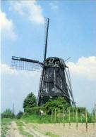 SCHIMMERT (Limburg) - Molen/moulin - Historische Opname Van De Proosdijmolen In 1961, Een Jaar Voor De Sloop. - Sonstige & Ohne Zuordnung