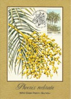 South Africa Ciskei 1984 Plants  Wild Date Palm Maximum Card - Used Stamps