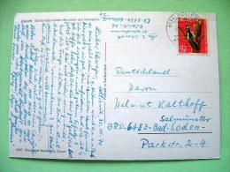 Switzerland 1970 Postcard "Zurich Hotel Stork" To Germany - Bird Woodpecker - Cartas & Documentos