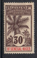 HAUT-SENEGAL ET NIGER N°9 N* - Unused Stamps