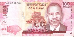 BILLETE DE MALAWI DE 100 KWACHA DEL AÑO 2013 (BANKNOTE) PEZ-FISH - Malawi