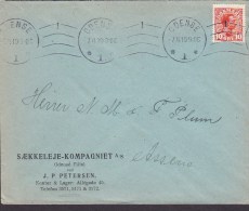 Denmark SÆKKELEJE-KOMPAGNIET Filial V. J. P. Petersen ODENSE 1919 Cover Brief To ASSENS (2 Scans) - Covers & Documents