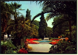 Bad Pyrmont  -  Palmengarten Im Kurpark  -  Ansichtskarte  Ca.1980     (3747) - Bad Pyrmont