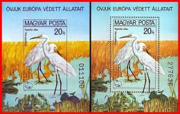 HUNGARY 1980 Protected BIRDS X2 S/S Perf/imperf MNH SC#2665A-B CV$44.25 EUROPA NATURE PROTECTION YEAR (D0134) - Collections, Lots & Séries