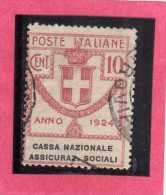 ITALY KINGDOM ITALIA REGNO 1924 PARASTATALI CASSA NAZIONALE ASSICURAZIONI SOCIALI CENT. 10 USED - Portofreiheit