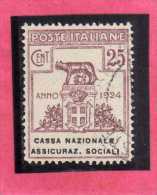 ITALY KINGDOM ITALIA REGNO 1924 PARASTATALI CASSA NAZIONALE ASSICURAZIONI SOCIALI CENT. 25 USED - Portofreiheit