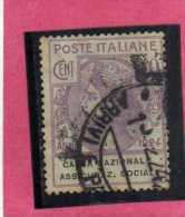 ITALY KINGDOM ITALIA REGNO 1924 PARASTATALI CASSA NAZIONALE ASSICURAZIONI SOCIALI CENT. 50 USED - Franchise