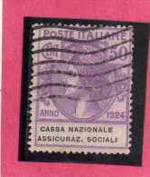 ITALY KINGDOM ITALIA REGNO 1924 PARASTATALI CASSA NAZIONALE ASSICURAZIONI SOCIALI CENT. 50 USED - Portofreiheit