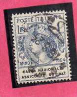 ITALY KINGDOM ITALIA REGNO 1924 PARASTATALI CASSA NAZIONALE ASSICURAZIONI SOCIALI LIRE 1 USED - Franchise