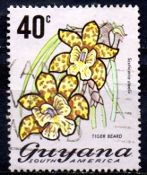 GUYANA 1971 Flowering Plants -  40c. - Tiger Beard  FU - Guyane (1966-...)