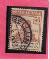 ITALY KINGDOM ITALIA REGNO 1924 PARASTATALI UFFICIO NAZIONALE COLLOCAZIONE DISOCCUPATI CENT. 30  USATO USED - Franquicia