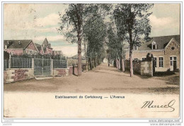 CARLSBOURG ..-- PALISEUL ..-- L´Avenue . 1904 Vers VERVIERS . Voir Verso . - Paliseul