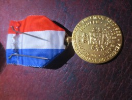 MEDAILLE MUTUALITE LUXEMBOURGEOISE - SECOURS MUTUEL  - VOIR PHOTOS - Otros & Sin Clasificación