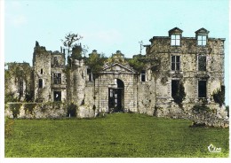 BIDACHE - Les Ruines Du Château Des Ducs De Gramont - Cim 85 - Circulé - Tbe - Bidache