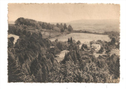 La Jonchère -Paysage Sur Les Pépinières--(A .3028) - Chateauponsac