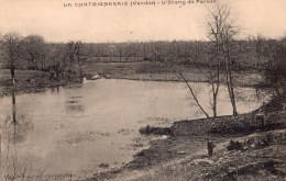 La Châtaigneraie : L'étang De Pareds - La Chataigneraie