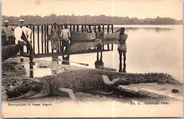 CONGO - Un Crocodile Tué - Other & Unclassified