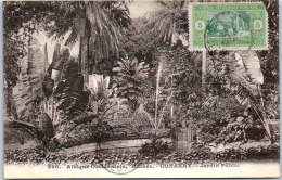 GUINEE - CONAKRY - Jardin Public - Guinée