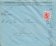 Denmark LANGELANDS KORN-, FODERSTOF- & GØDNINGSFORRETNING., KØBENHAVN (1.) 1919 Cover Brief To ASSENS (2 Scans) - Covers & Documents