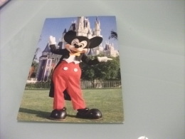 DISNEY WORLD  WALT DISNEY MICKEY  MOUSE TOPOLINO - Disneyworld