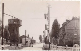 CPSM - Brétigny Sur Orge (91) - Entrée De La Station Magasin - Bretigny Sur Orge